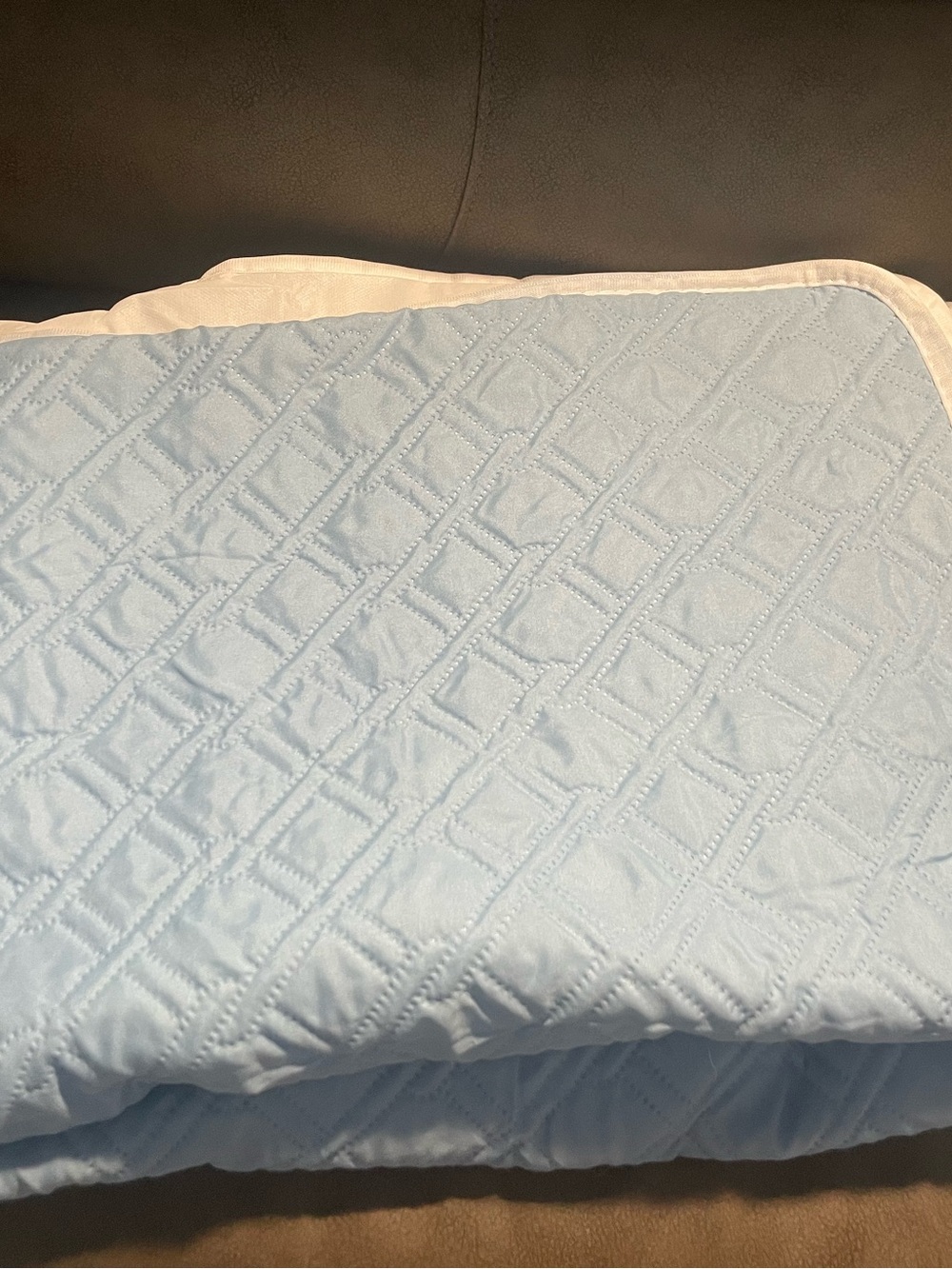 Light Blue Quilted Dog Cooling Blanket- Unbranded